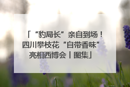 “豹局长”亲自到场！四川攀枝花“自带香味”亮相西博会丨图集