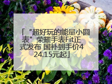 “超好玩的能量小圆表”荣耀手表Fit正式发布 国补到手价424.15元起