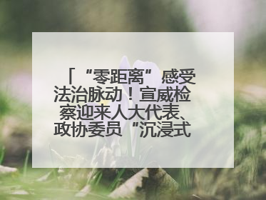 “零距离”感受法治脉动！宣威检察迎来人大代表、政协委员“沉浸式”体验