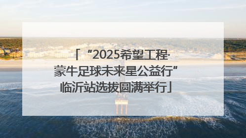 “2025希望工程·蒙牛足球未来星公益行”临沂站选拔圆满举行