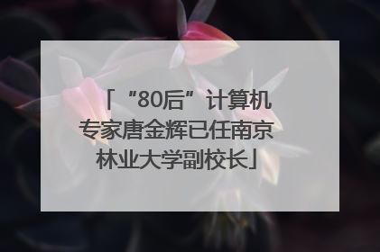“80后”计算机专家唐金辉已任南京林业大学副校长