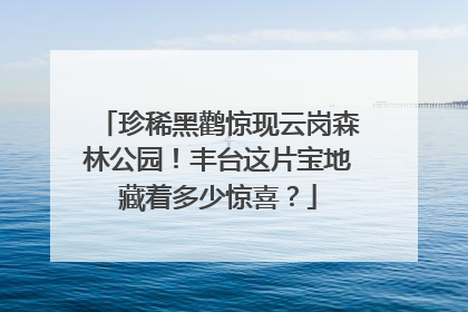 珍稀黑鹳惊现云岗森林公园！丰台这片宝地藏着多少惊喜？