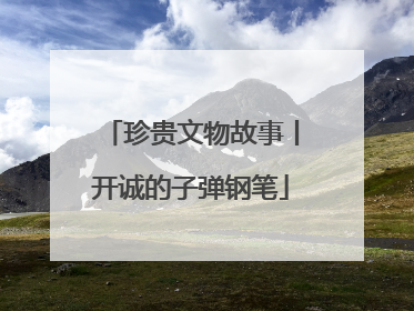 珍贵文物故事丨开诚的子弹钢笔