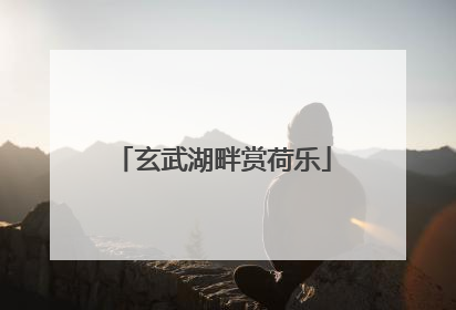玄武湖畔赏荷乐