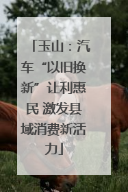 玉山：汽车“以旧换新”让利惠民 激发县域消费新活力