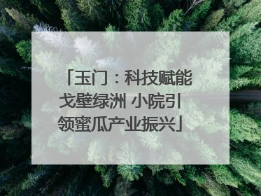 玉门：科技赋能戈壁绿洲 小院引领蜜瓜产业振兴