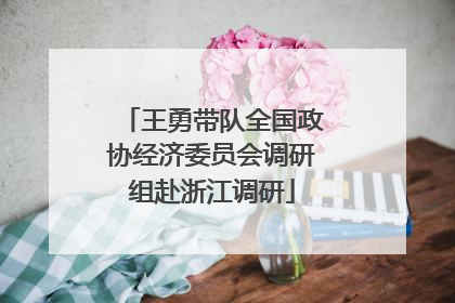 王勇带队全国政协经济委员会调研组赴浙江调研