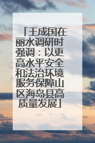 王成国在丽水调研时强调：以更高水平安全和法治环境服务保障山区海岛县高质量发展