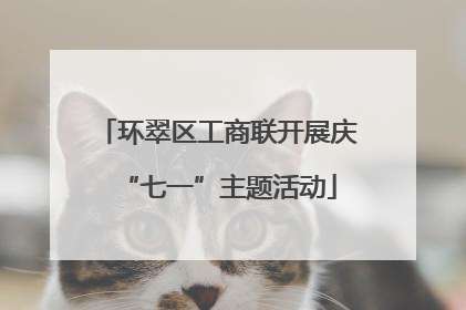 环翠区工商联开展庆“七一”主题活动
