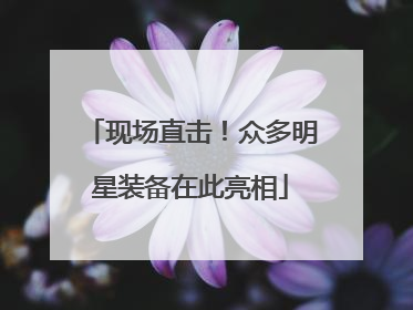 现场直击！众多明星装备在此亮相