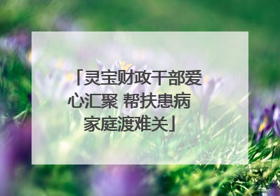 灵宝财政干部爱心汇聚 帮扶患病家庭渡难关