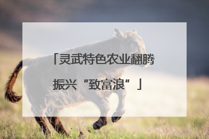 灵武特色农业翻腾振兴“致富浪”