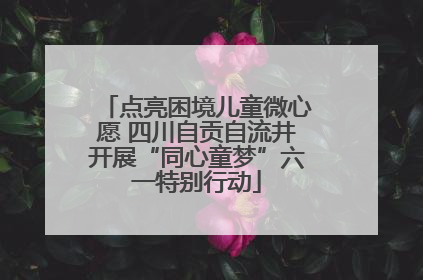 点亮困境儿童微心愿 四川自贡自流井开展“同心童梦”六一特别行动