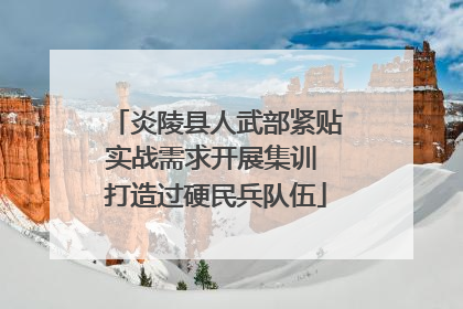 炎陵县人武部紧贴实战需求开展集训 打造过硬民兵队伍