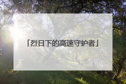 烈日下的高速守护者