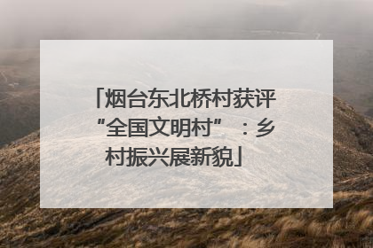 烟台东北桥村获评“全国文明村”：乡村振兴展新貌