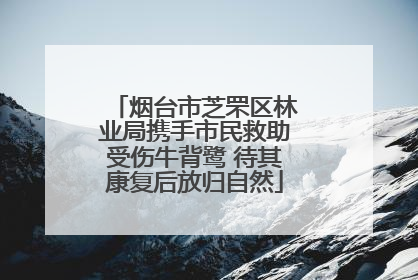 烟台市芝罘区林业局携手市民救助受伤牛背鹭 待其康复后放归自然
