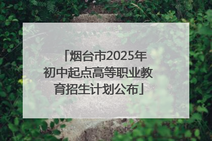 烟台市2025年初中起点高等职业教育招生计划公布