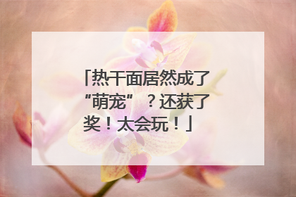 热干面居然成了“萌宠”？还获了奖！太会玩！