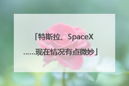 特斯拉、SpaceX……现在情况有点微妙