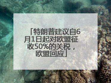特朗普建议自6月1日起对欧盟征收50%的关税，欧盟回应