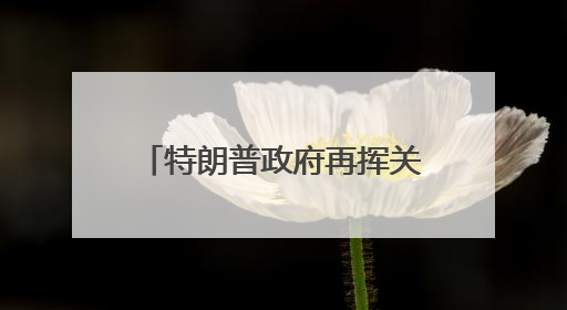 特朗普政府再挥关税大棒 欧盟、苹果、三星遭“突袭”