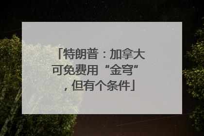 特朗普：加拿大可免费用“金穹”，但有个条件