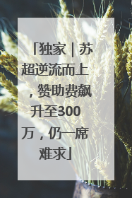 独家｜苏超逆流而上，赞助费飙升至300万，仍一席难求