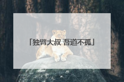 独臂大叔 吾道不孤
