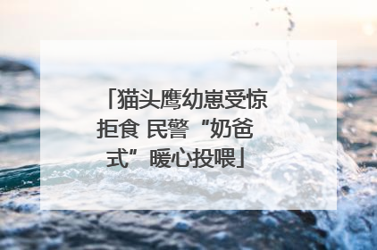 猫头鹰幼崽受惊拒食 民警“奶爸式”暖心投喂