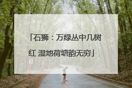 石狮：万绿丛中几树红 湿地荷塘韵无穷