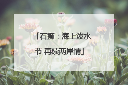 石狮：海上泼水节 再续两岸情