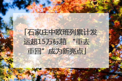 石家庄中欧班列累计发运超15万标箱 “重去重回”成为新亮点