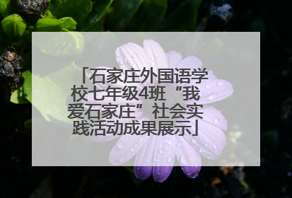石家庄外国语学校七年级4班“我爱石家庄”社会实践活动成果展示