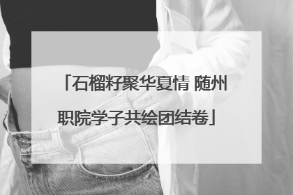 石榴籽聚华夏情 随州职院学子共绘团结卷