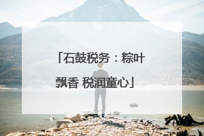 石鼓税务：粽叶飘香 税润童心