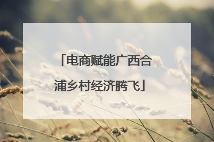 电商赋能广西合浦乡村经济腾飞