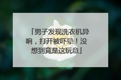 男子发现洗衣机异响，打开被吓晕！没想到竟是这玩意