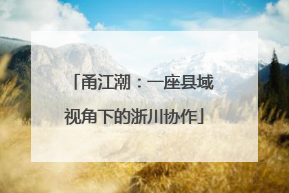 甬江潮：一座县域视角下的浙川协作
