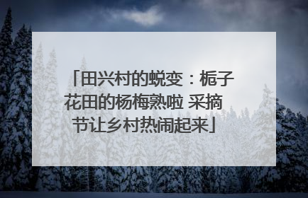 田兴村的蜕变：栀子花田的杨梅熟啦 采摘节让乡村热闹起来