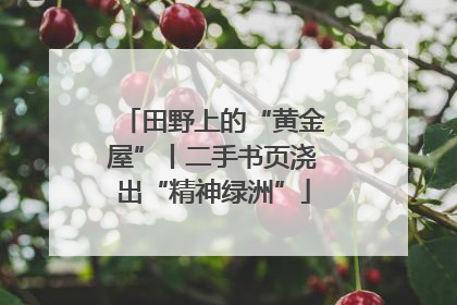 田野上的“黄金屋”丨二手书页浇出“精神绿洲”