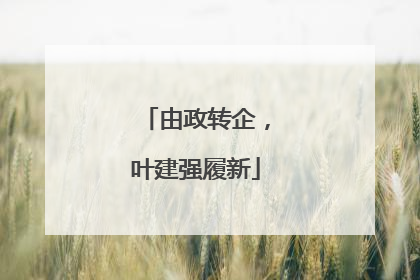 由政转企，叶建强履新