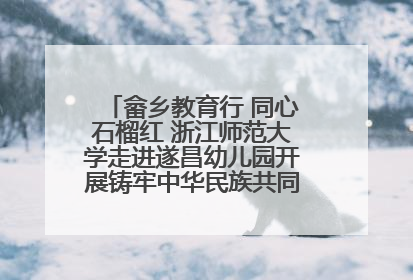 畲乡教育行 同心石榴红 浙江师范大学走进遂昌幼儿园开展铸牢中华民族共同体意识教育