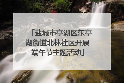 盐城市亭湖区东亭湖街道北林社区开展端午节主题活动