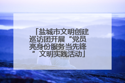盐城市文明创建巡访团开展“党员亮身份服务当先锋”文明实践活动