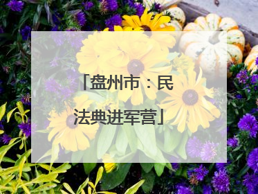 盘州市：民法典进军营
