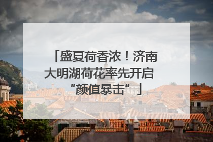 盛夏荷香浓！济南大明湖荷花率先开启“颜值暴击”