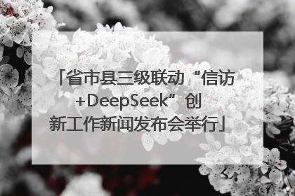 省市县三级联动“信访+DeepSeek”创新工作新闻发布会举行