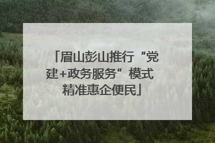 眉山彭山推行“党建+政务服务”模式 精准惠企便民
