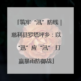 筑牢“汛”防线｜慈利县罗塔坪乡：以“迅”应“汛” 打赢暴雨防御战